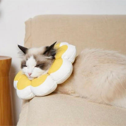 Flowerheal - Blød tragt til healing