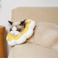 Flowerheal - Blød tragt til healing