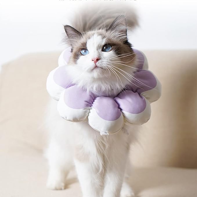 Flowerheal - Blød tragt til healing