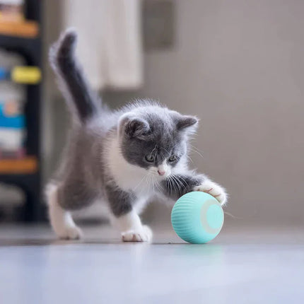 Happyball™ - Holder din kat underholdt, når du er væk