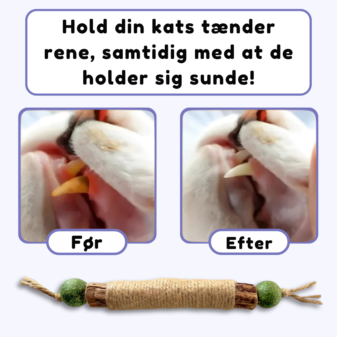 HappyTeeth™ - Rengør tænder på få sekunder med sjov leg (4-pak)