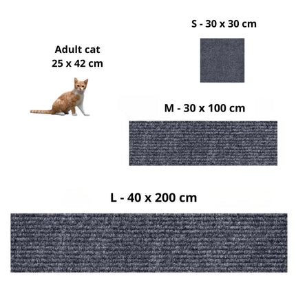 ScratchyPatch