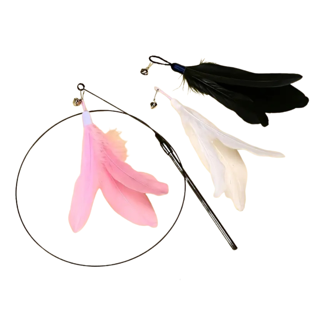 Swiftie - Får din kat til at føle sig som en jæger igen