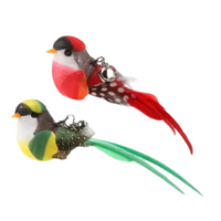 Swiftie - Får din kat til at føle sig som en jæger igen