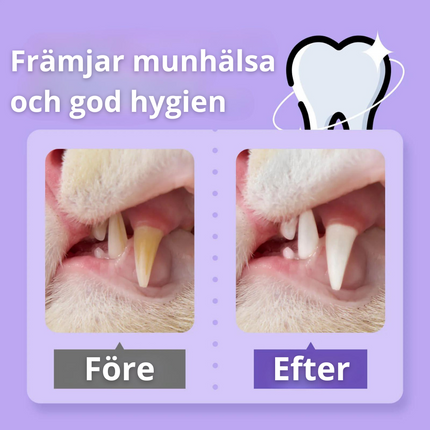 Smilegood - Hold din kats tænder rene uden at børste
