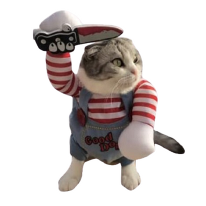 Sjove kattekostumer