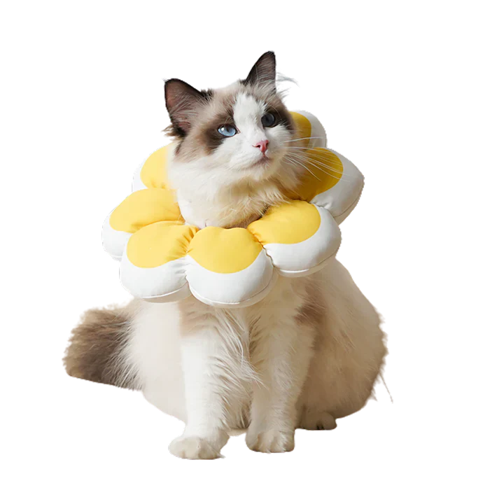 Flowerheal - Blød tragt til healing