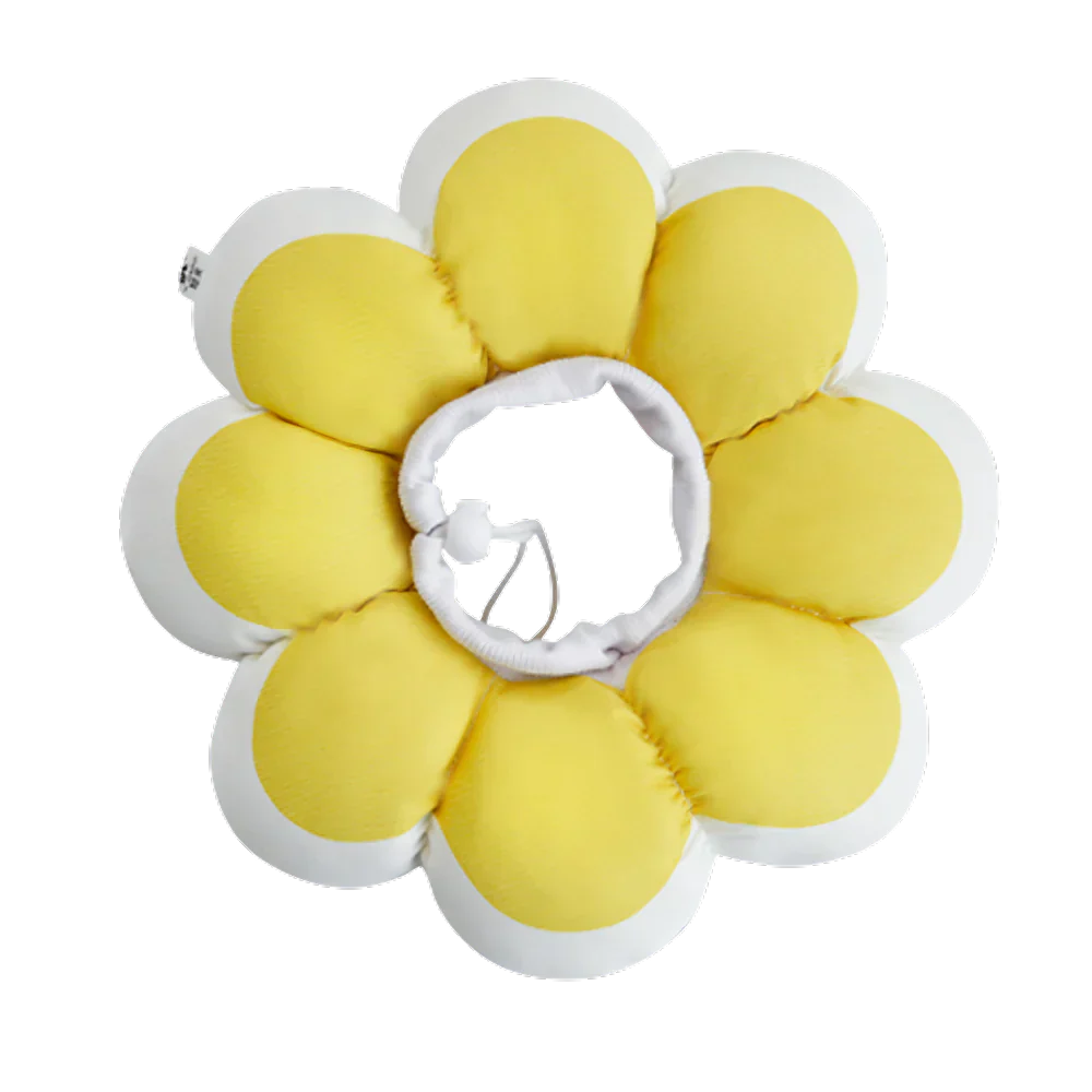 Flowerheal - Blød tragt til healing