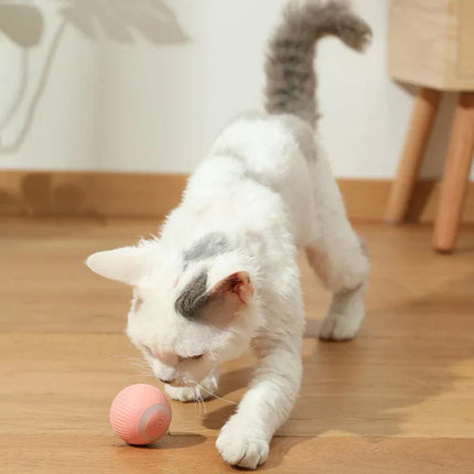 Happyball™ - Holder din kat underholdt, når du er væk