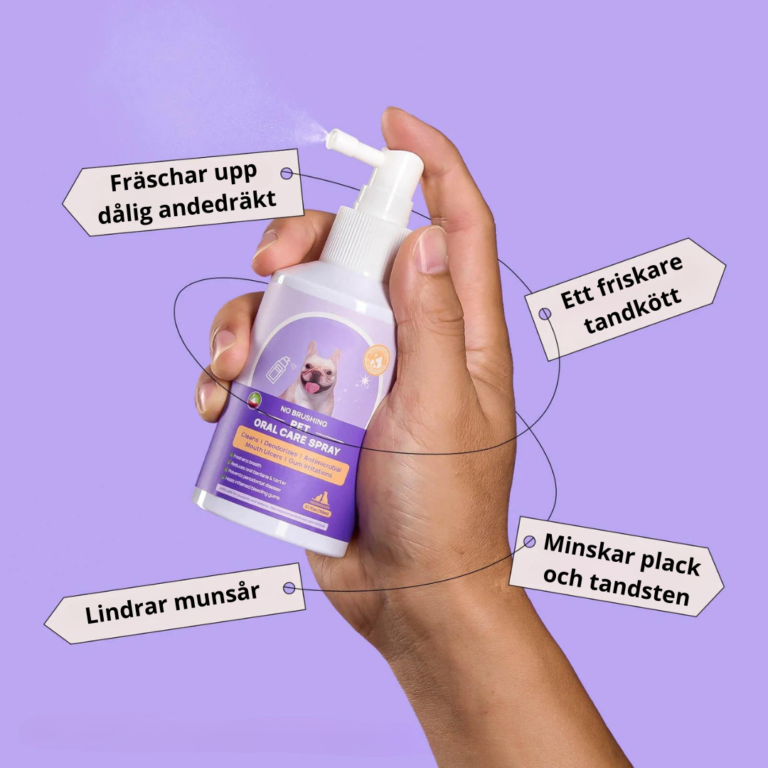 Smilegood - Hold din kats tænder rene uden at børste